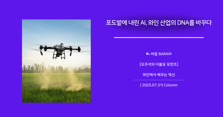 [오주석의 더블유 모먼츠] 포토밭에 내린 AI, 와인 산업의 DNA를 바꾸다