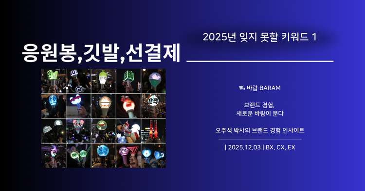 응원봉, 깃발 그리고 선결제_2024년 12월 3일, 민주주의를 경험하다