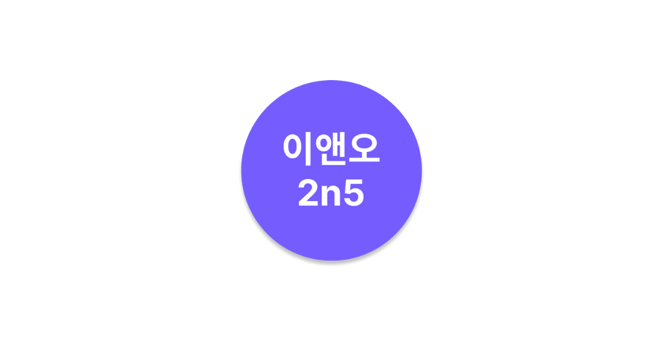 이앤오 2n5