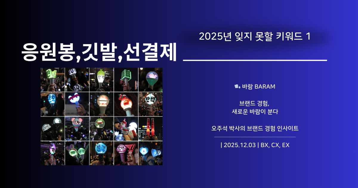 응원봉, 깃발 그리고 선결제_2024년 12월 3일, 민주주의를 경험하다